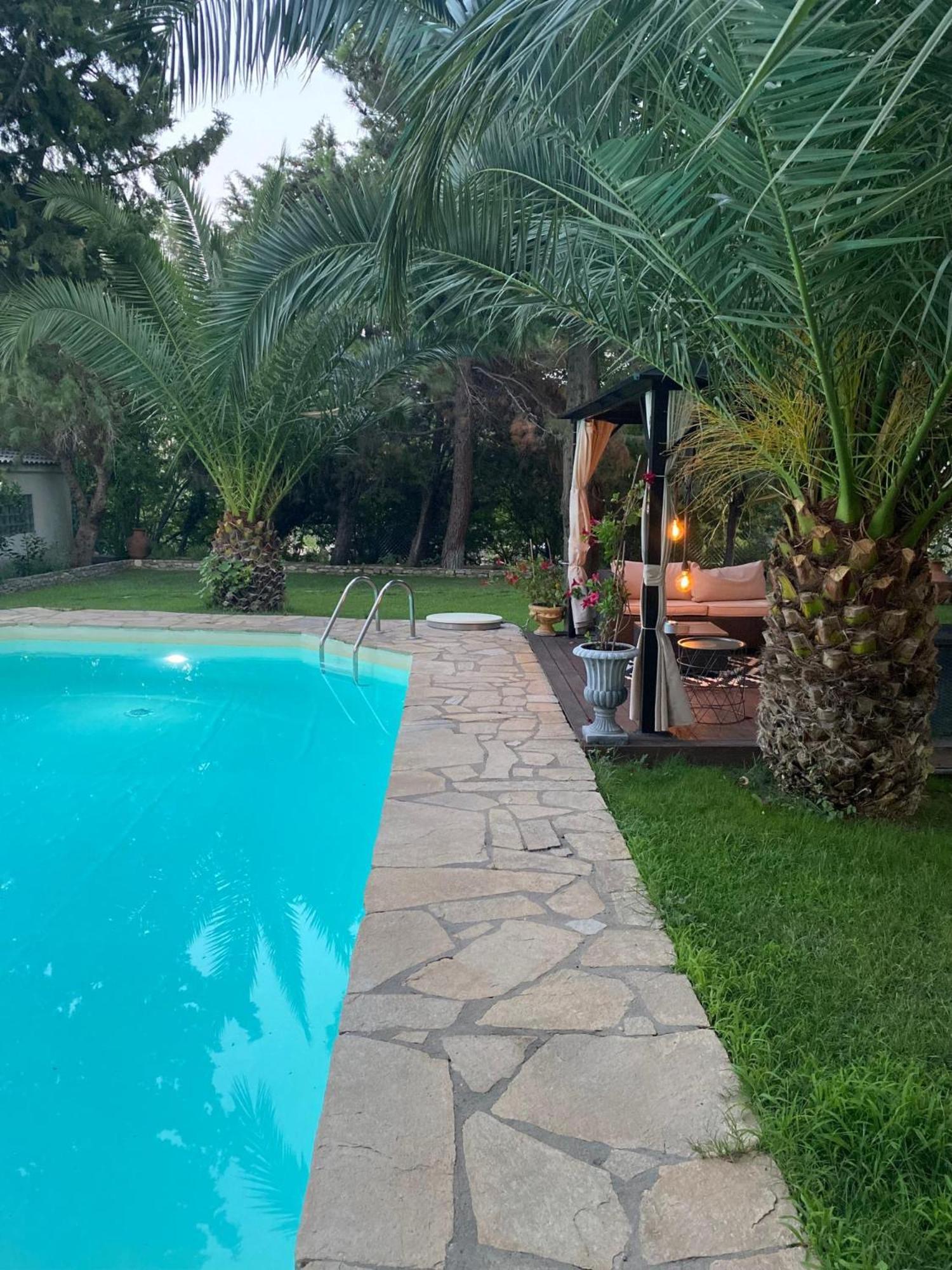 Villa Euphoria Theologos  外观 照片